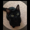 Nicole_Steinke_9654