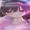 Delies_