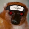 Renegade_Lemur