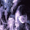 LuminousHyacinth