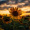 Sunshine_885