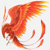 PhoenixRacer