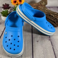 Blue_Crocs