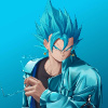 VEGETTO_PLUZ2