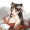 Biscuit_8