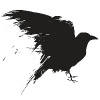 thecrowguy