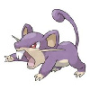 rattata2323