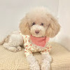 Chachi_the_Poodle