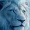 Cameron_Walker_5265