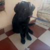 Maneesha_chaudhary