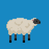 NotASheep