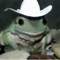 FrogsWearTopHats