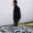 single_world