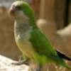 kevin_verdun