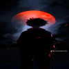 BLOOD_WOLF_9779