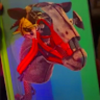 quinn_harper - Profile