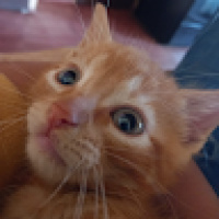 Andres_Saldivia_6570