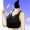 Little_Wu