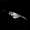 Luna_Blue_1175