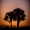 Daniel_K_Nzere