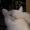 Shunsuke8393