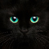 SuperBadKitty