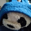 Pandapot