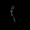 Faiq_Dilan