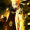 Aditya_WisePanther