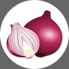 Onion_lover