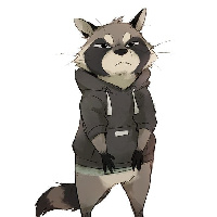 Raccoon_
