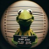 im_kermit_bitch