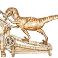 raptorrcats