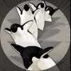 Penguin_4549
