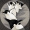 Penguin_4549