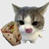 crispy_shawarma