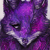 Purp16_fox