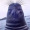 Dumb_Person_0885
