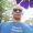 Alber_Torres_Serna