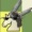 guns_0
