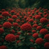 Neru_Hortensia