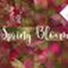 Spring_Bloom_3709