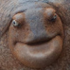 MurcuryK