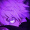 Gojou_