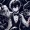 Drako_Frle