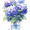 aohydrangea