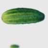 b5_