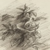 Zairon_