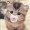 Tarun_0544