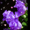 Cindy_Mulyani_9360